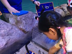 -暹罗海洋世界