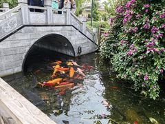-九尺赵老四鲜鹅肠火锅