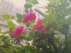 -都氏家DUSJOY(翡翠城店)