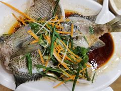 清蒸太阳鱼-大唐靓汤江门私房菜(景田店)