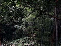-灵顺寺