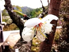 -广东天露山旅游度假区