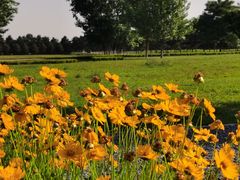 -汉长安城未央宫国家考古遗址公园