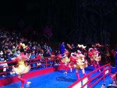 -广州长隆国际大马戏