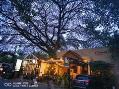 -Cheevit Cheeva(Sirimangkalajarn)