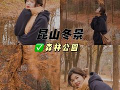 -昆山城市生态森林公园