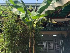 -三峡古玩城(泰古广场店)