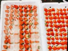 -西郊国际农产品交易中心