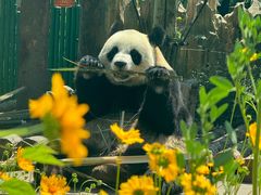 -大连森林动物园