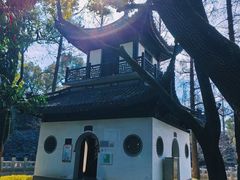 -汇龙潭