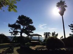-柱状节理带