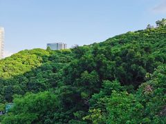 -鲤鱼塘农家山庄