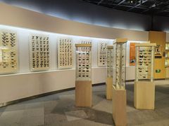 -陕西自然博物馆