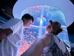 -海合安成都极地海洋公园
