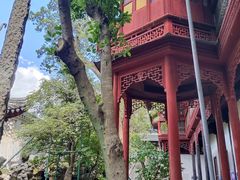 -东山雕花楼