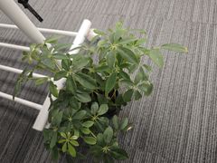 -骆驼日式搬家收纳整理
