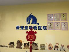 -瑞鹏宠物医院·爱宠堂·骨外专科(西荷分院)