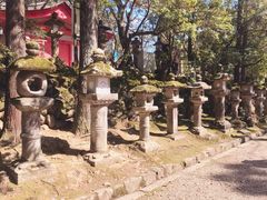 -奈良公园