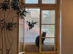 -春风十里咖啡馆