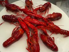 -红盔甲·小龙虾(天钥桥店)
