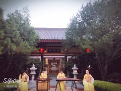 -大唐博相府酒店·陕西官府菜