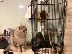 -平行世界·猫咖(首经贸店)