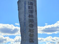 -汤旺河林海奇石景区
