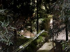 -WILDS 野有食(碧坞店)