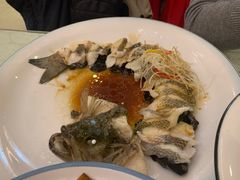 -博雅渔港·融合菜(维也纳国际大酒店)