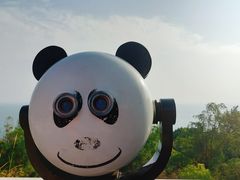 -广东惠东海龟国家级自然保护区