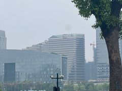 -金沙湖公园