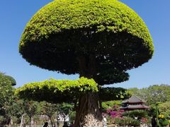 -南宁南湖公园