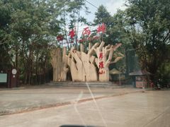 -海南热带雨林国家公园吊罗山景区