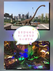 -恐龙探索乐园(磁器口店)