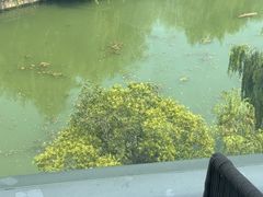 -上海佘山世茂艾美酒店