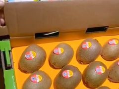 翠香猕猴桃（件）-水果天空(东葛店)