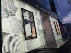 -BLACKSWAN黑天鹅(环球店)