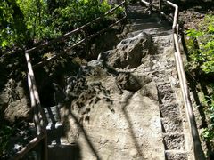 -天女山森林公园