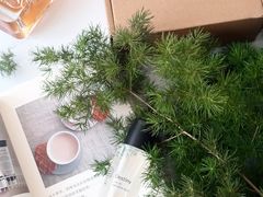 -墨more调香馆DIY自调香水(博雅国际中心B座店)