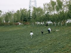 -洨河生态公园