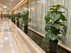 -渔民新村(番禺总店)