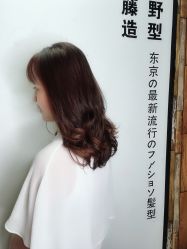 -藤野造型