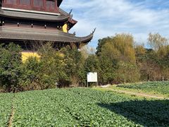 -重元寺香积厨素斋馆