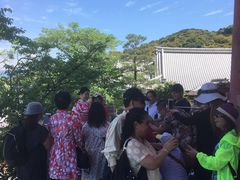 -京都冈本和服体验租赁店(清水寺店)