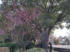 -普陀山风景名胜区-法雨禅寺