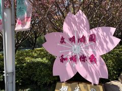-高东镇樱花园