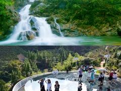 -九龙江国家森林公园