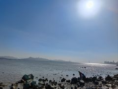 -深圳湾公园(南山区)