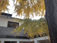 -自如ZSPACE四合院艺术餐厅