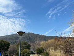 -长广溪湿地公园